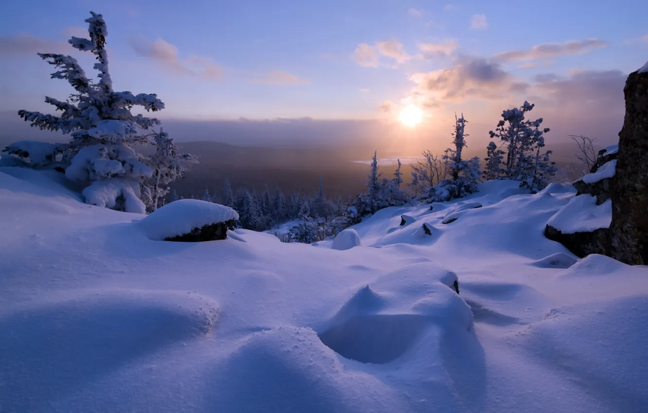 Фото обои зима, лес, гора, утро
