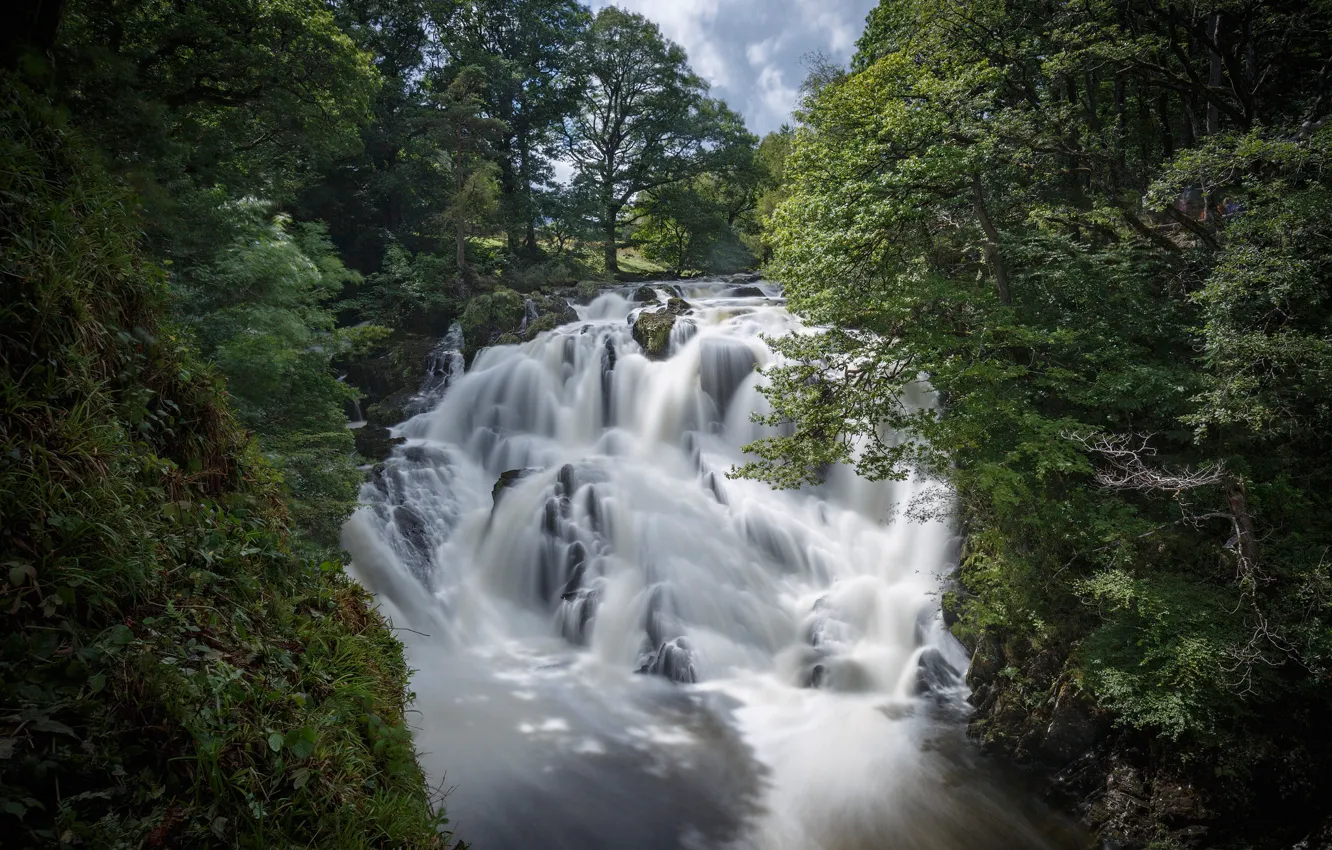 Фото обои лес, река, Англия, водопад, каскад, England, Уэльс, Wales