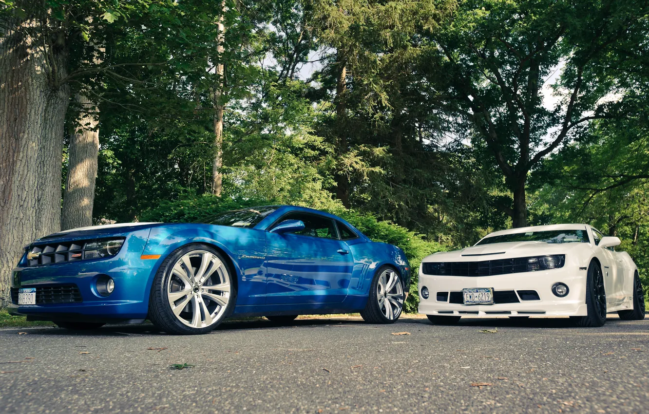 Фото обои белый, деревья, синий, Chevrolet, Camaro, white, шевроле, blue