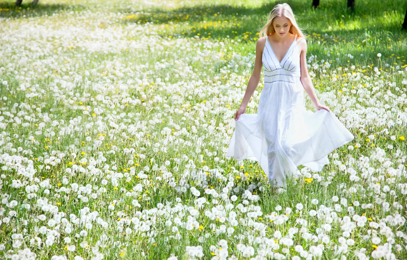Фото обои поле, девушка, цветы, блондинка, одуванчики