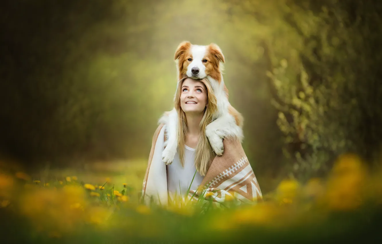 Фото обои девушка, улыбка, собака, рыжая
