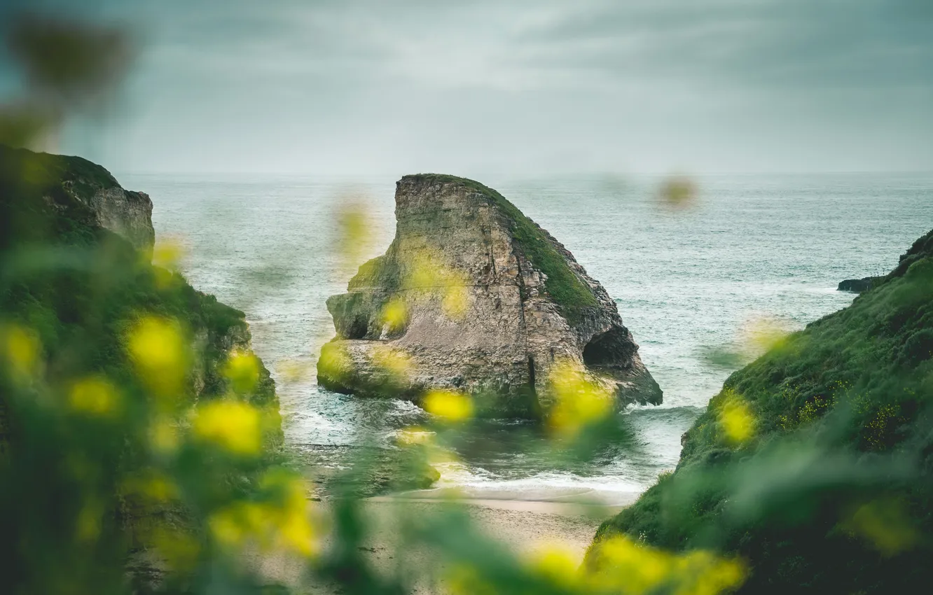 Фото обои USA, Davenport, Shark Fin Cove, Jessica Christian, a rock in the water