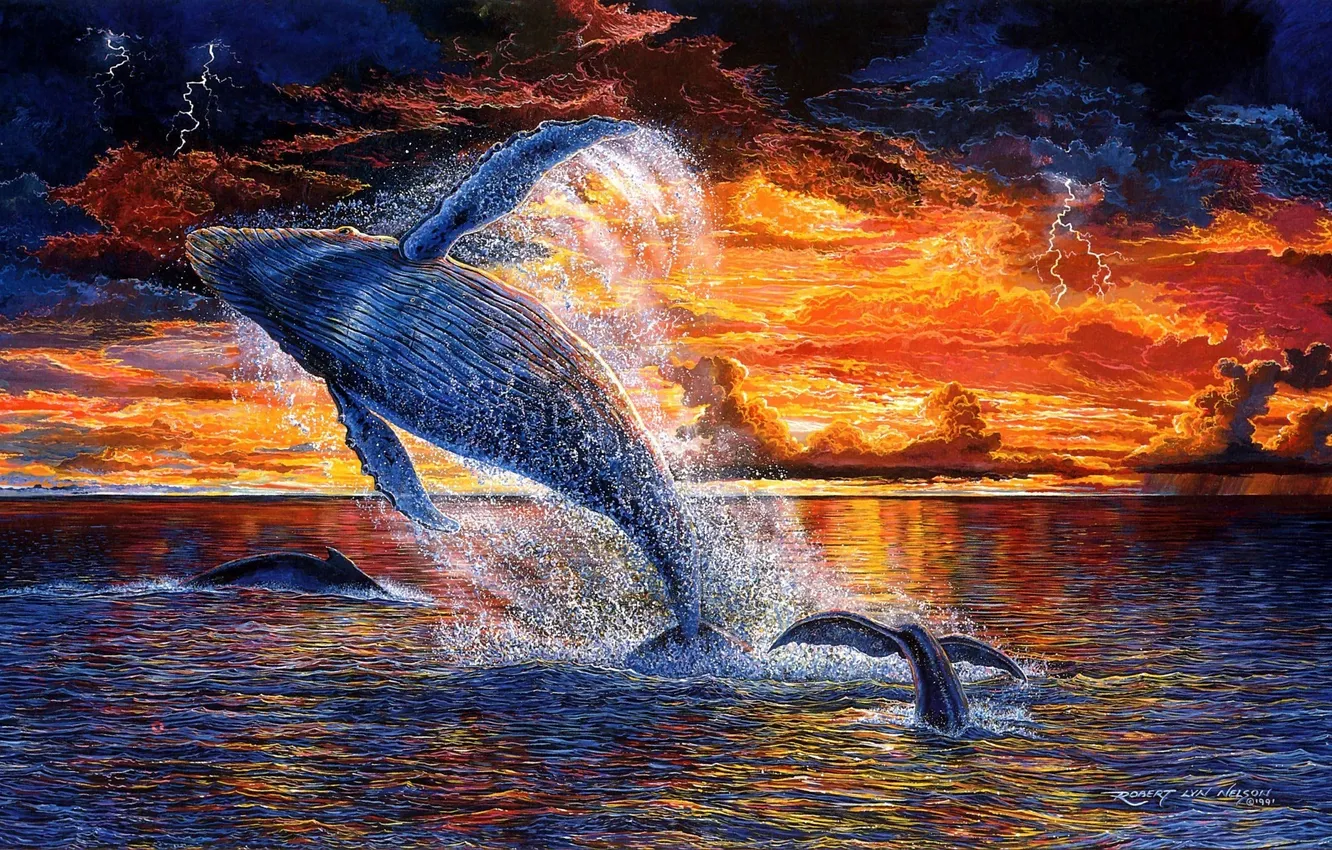 Фото обои море, вода, солнце, закат, брызги, океан, арт, кит