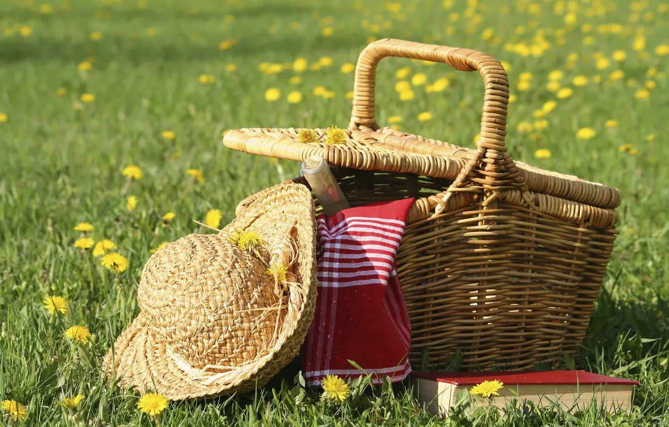 Фото обои поле, лето, вино, книга, шляпка, пикник, корзинка