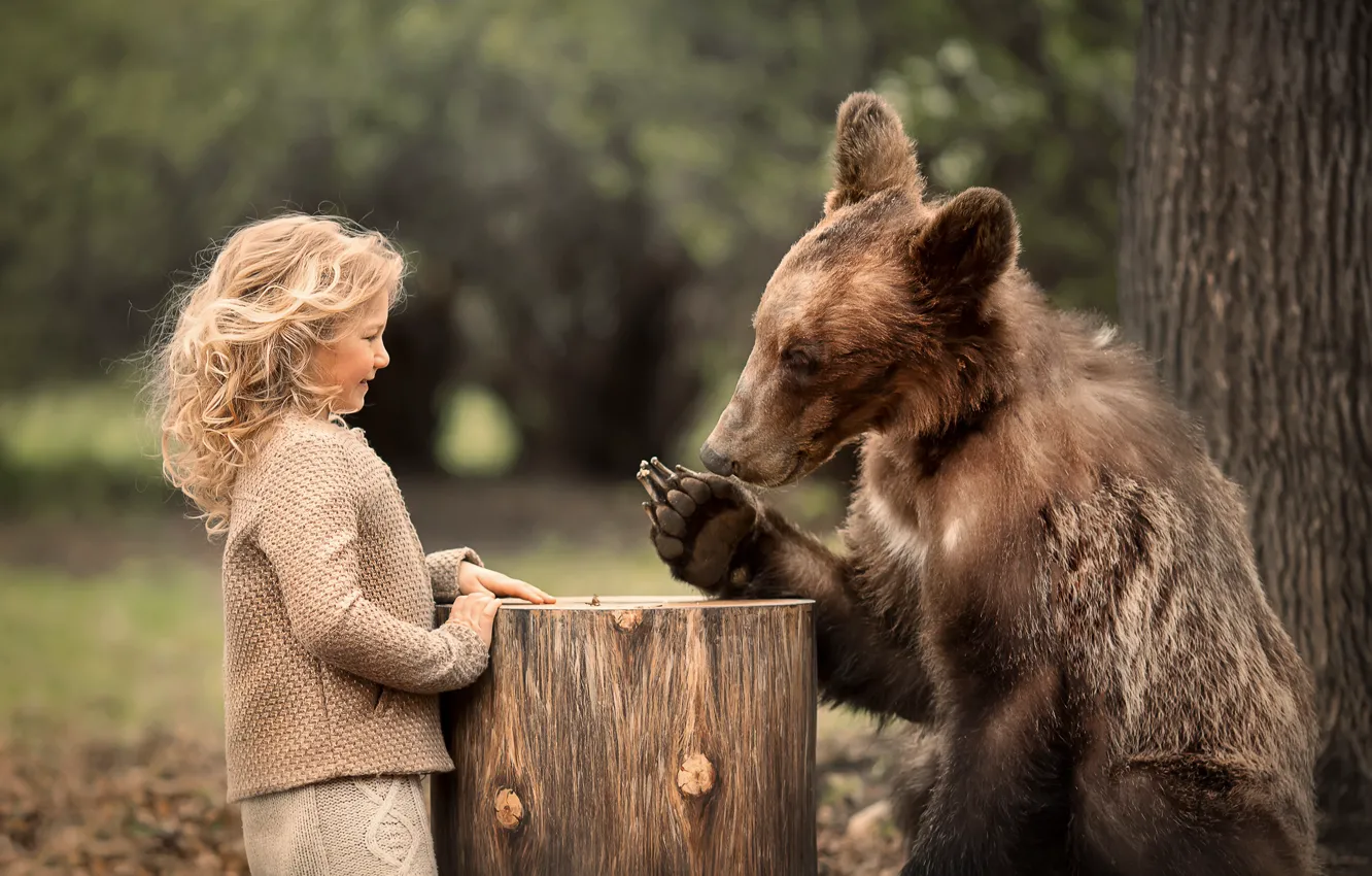Фото обои природа, животное, пень, хищник, медведь, девочка, кудри, ребёнок