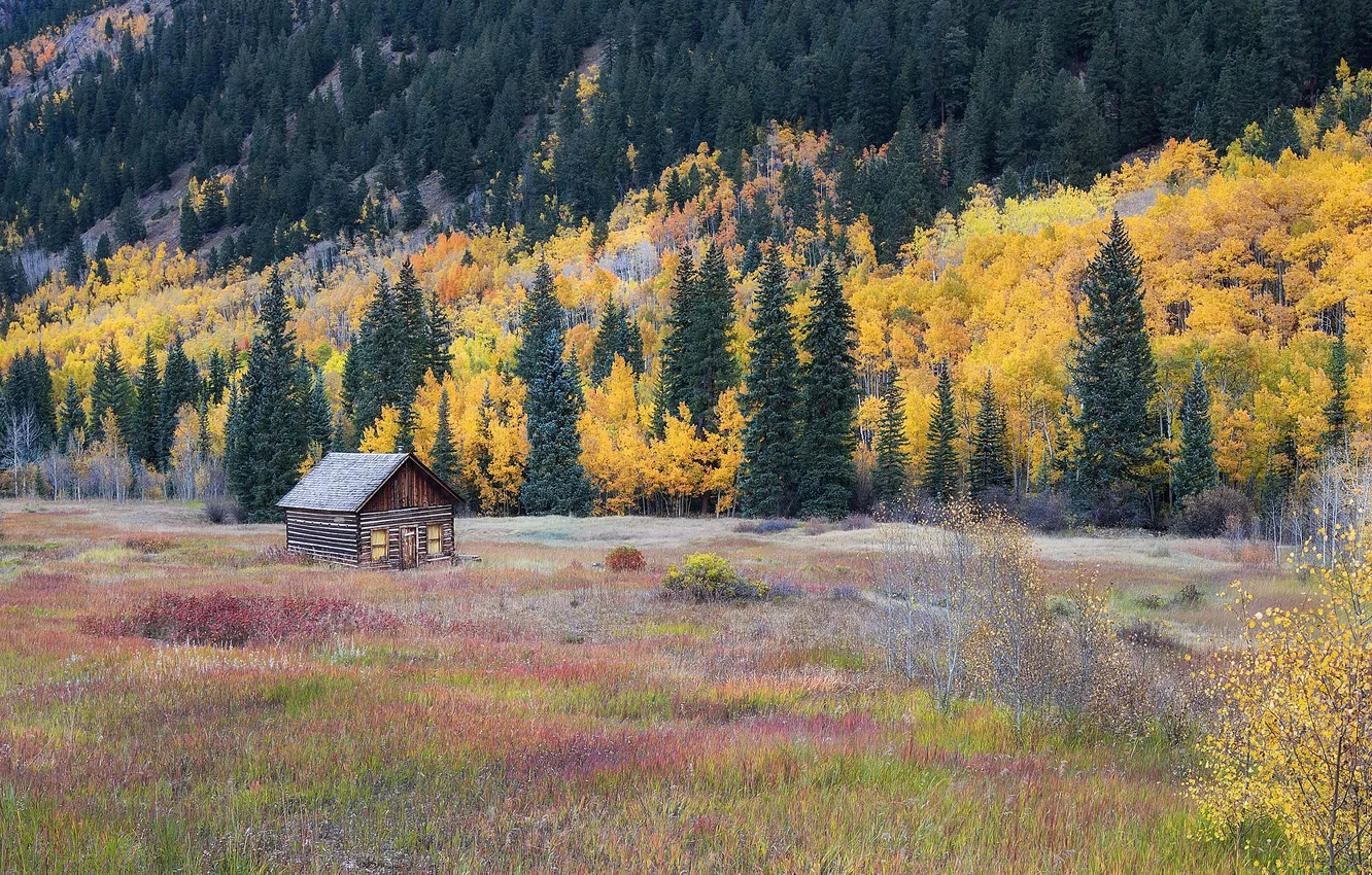 Фото обои поле, осень, лес, деревья, горы, природа, домик