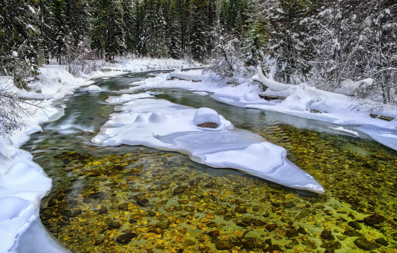 Фото обои снег, ручей, кристально чистая вода