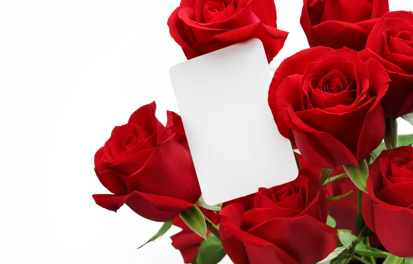 Фото обои розы, букет, красные, Red, Roses, Valentines Day