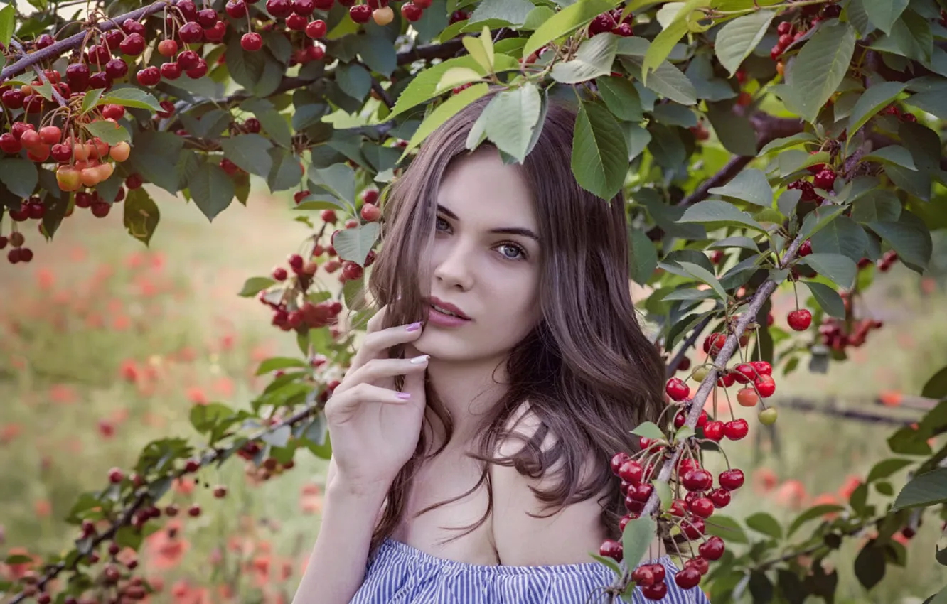 Фото обои лето, взгляд, девушка, ветки, вишня, поза, ягоды, Emil Topalov