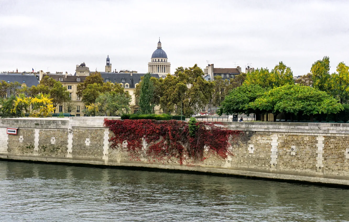 Фото обои деревья, река, Франция, Париж, Сена, Пантеон
