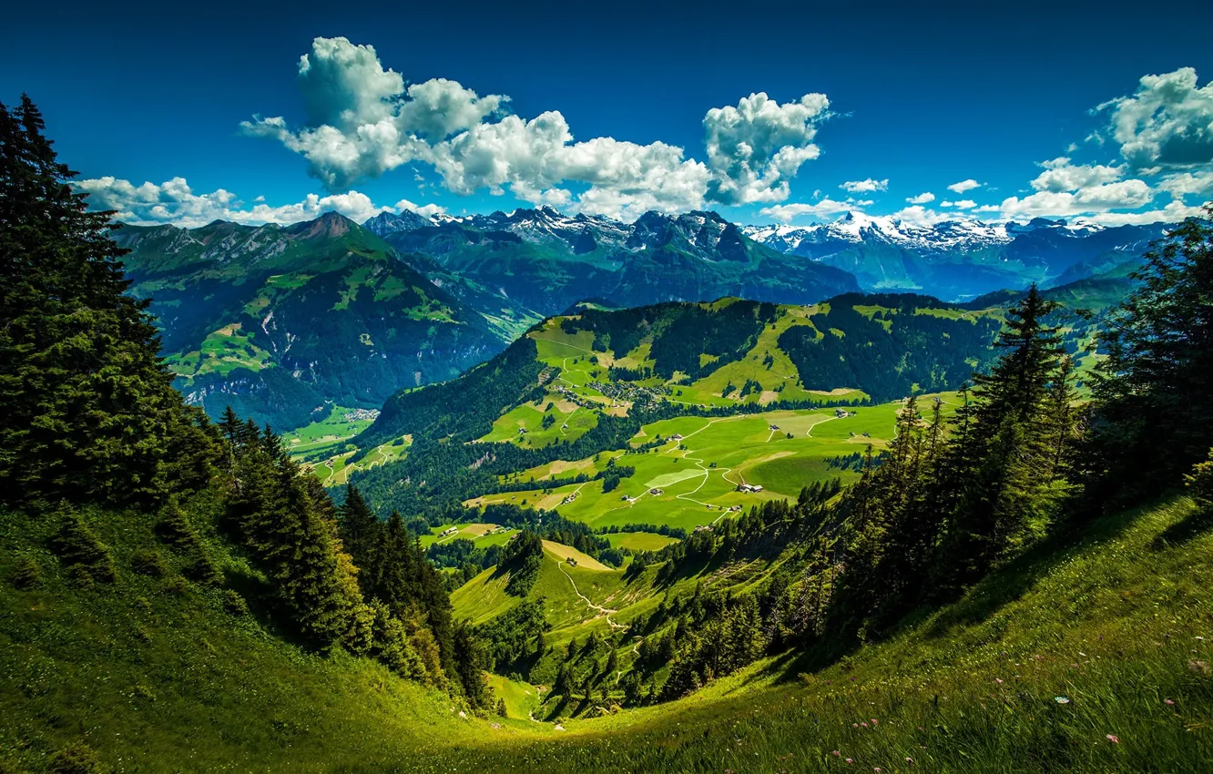 Фото обои sky, trees, mountains, clouds, leaves, Stanserhorn, Swiss Alps. Switzerland
