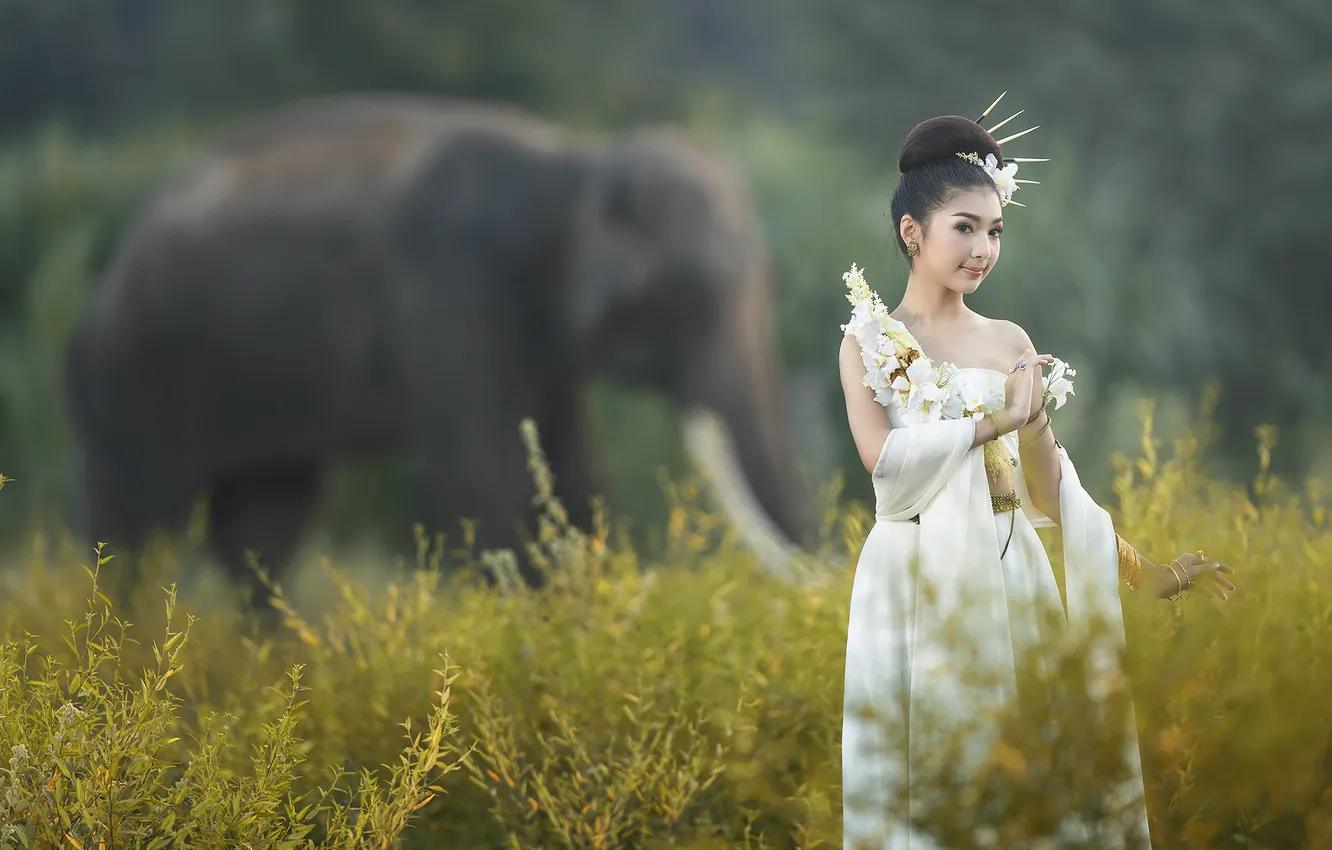 Фото обои wallpaper, girl, sexy, woman, model, china, asian, cute