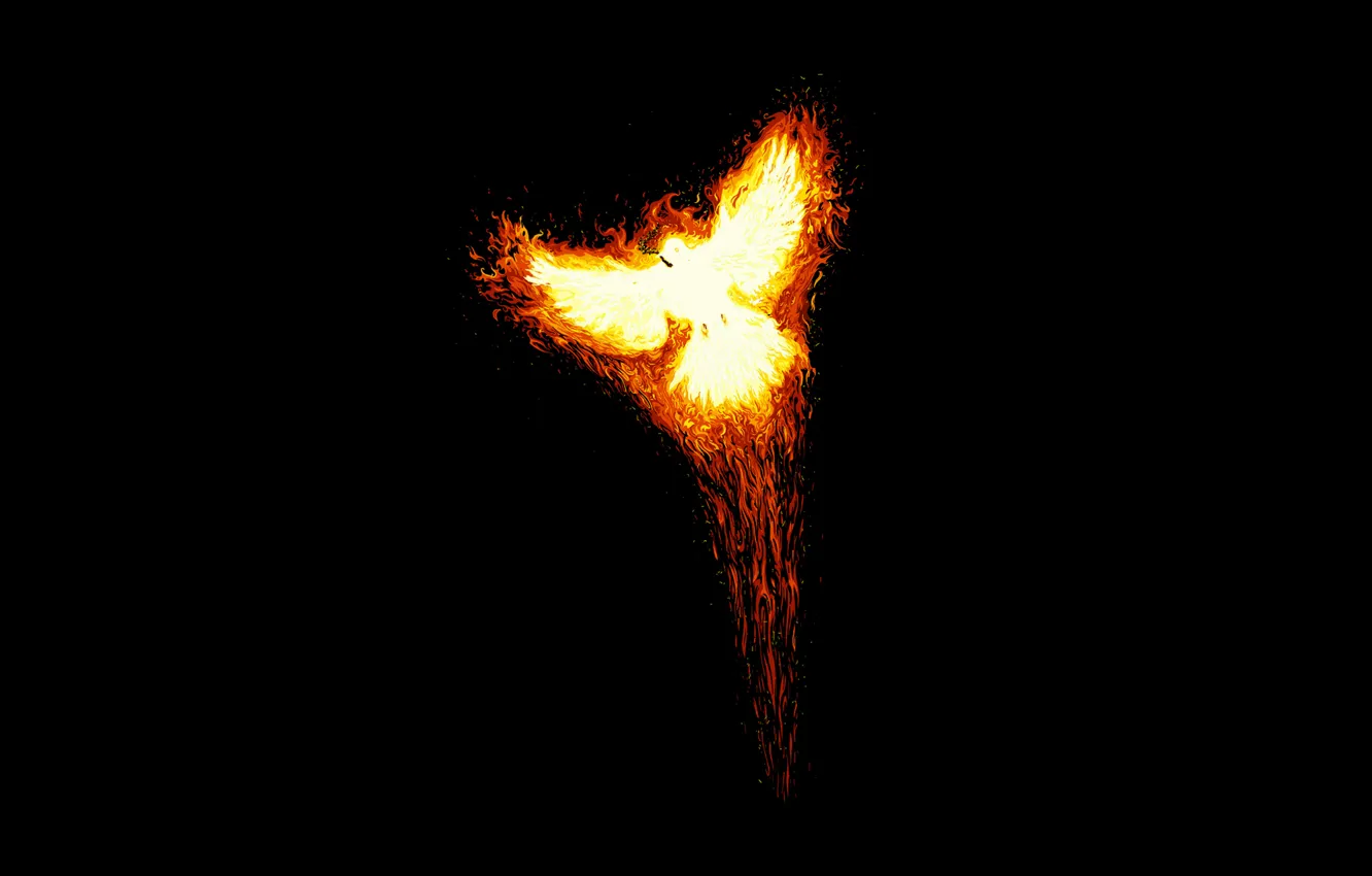Фото обои огонь, птица, минимализм, феникс, взлет, phoenix, миф, феня