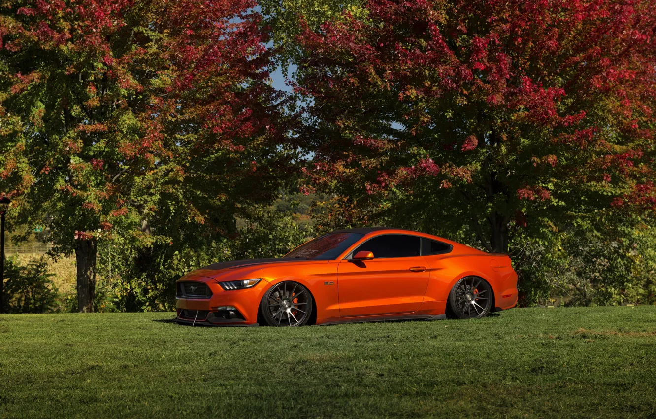 Фото обои Mustang, Ford, Orange, Wheels, Niche