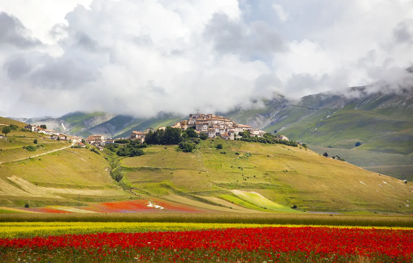 Фото обои поле, небо, облака, цветы, город, холмы, дома, Италия