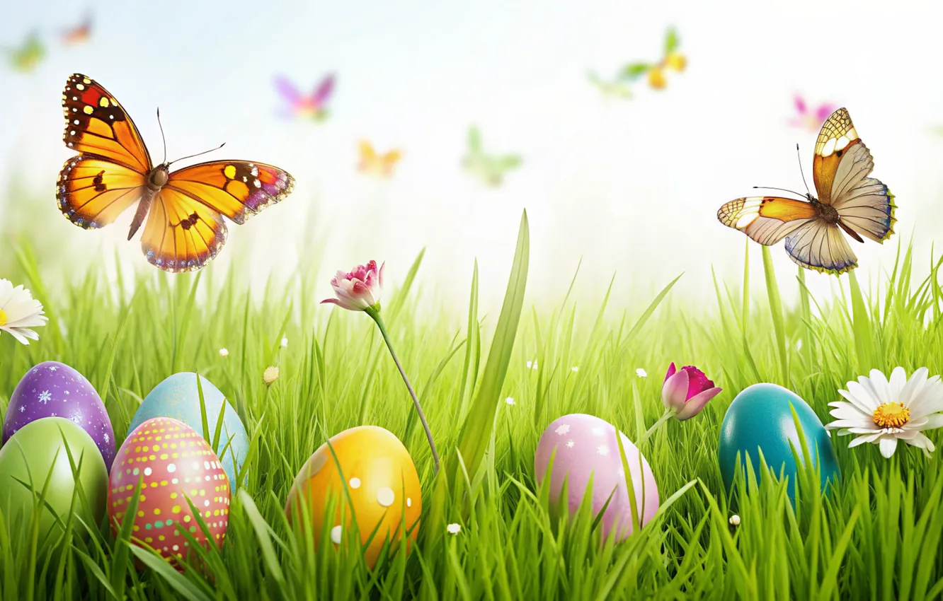 Фото обои цветы, яйца, весна, colorful, Пасха, happy, flowers, spring