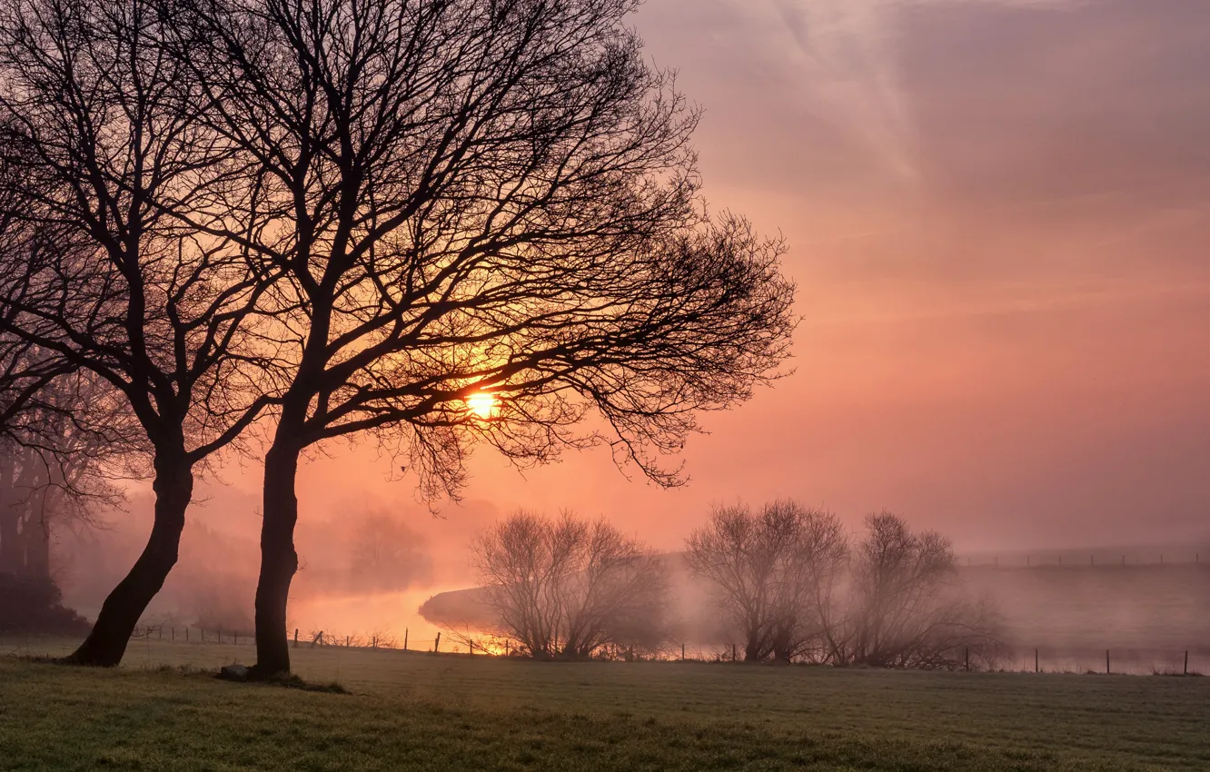 Фото обои деревья, туман, река, рассвет, утро, Германия, луг, Germany