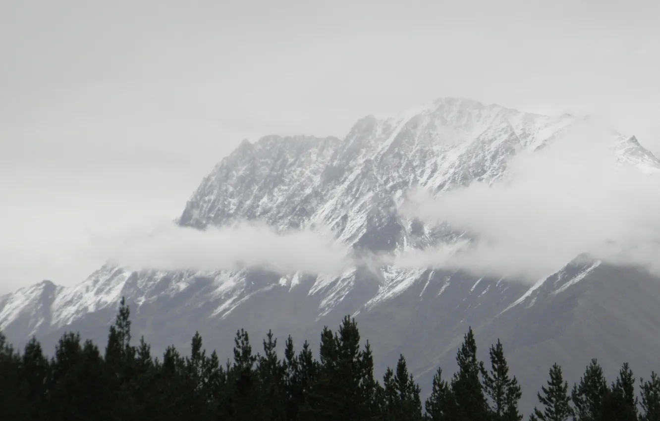 Фото обои горы, туман, Зима