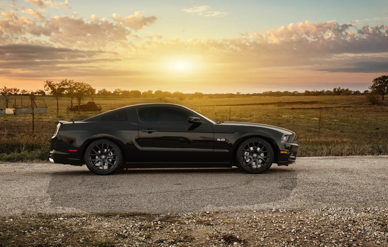 Фото обои Texas, Dallas, profile, 2013 Mustang GT