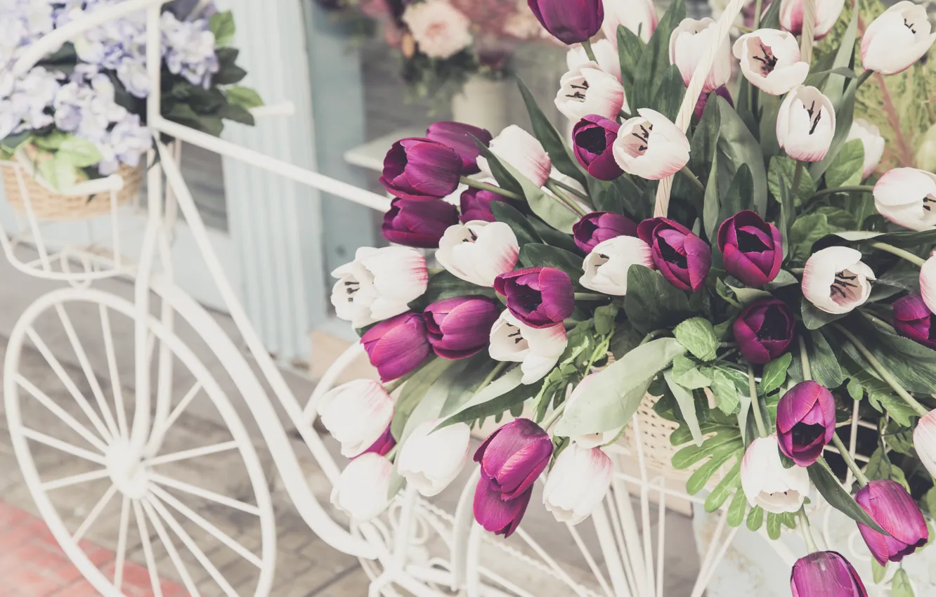 Фото обои цветы, велосипед, ретро, букет, flowers, флористика