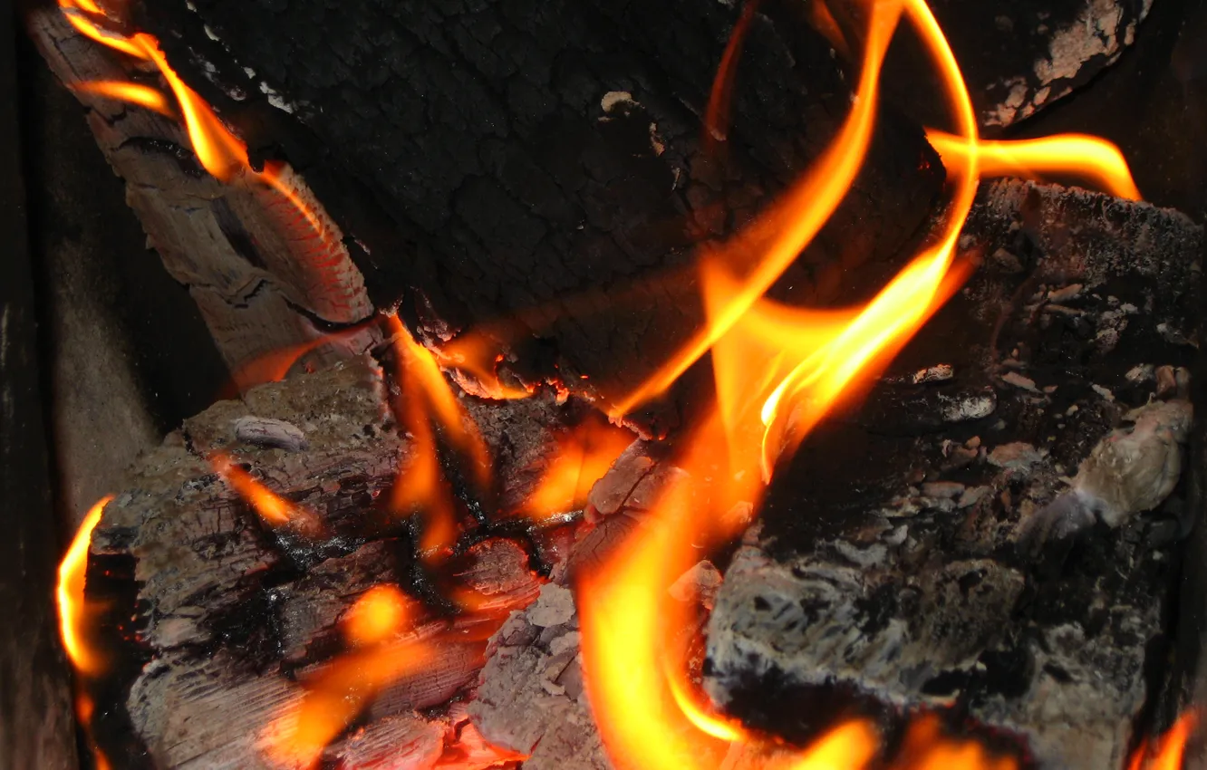 Фото обои огонь, костер, дрова