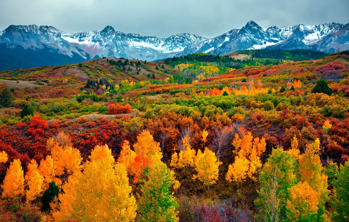 Фото обои осень, деревья, горы