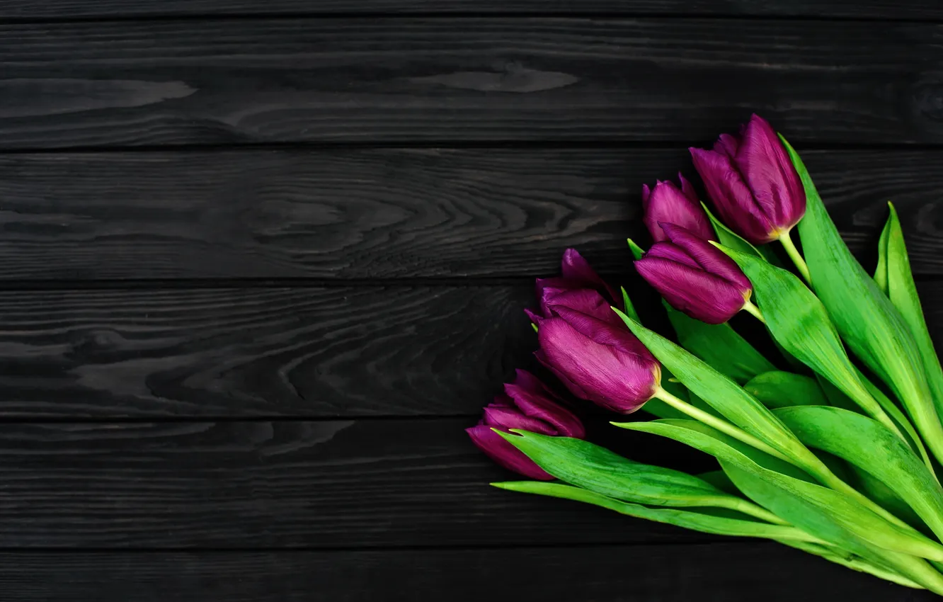 Фото обои цветы, букет, тюльпаны, flowers, tulips, spring, purple, with love