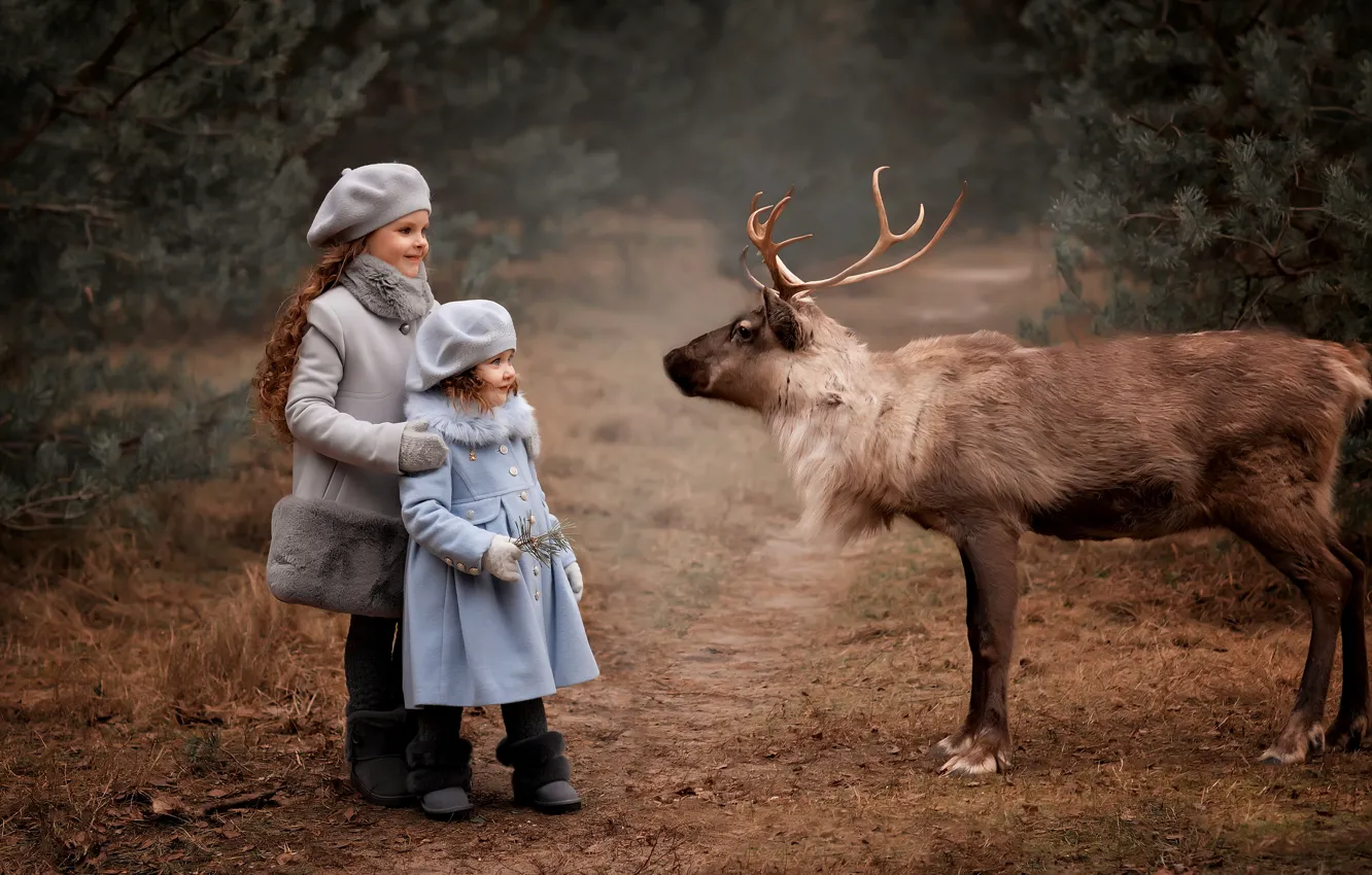 Фото обои дети, животное, девочки, олень, Валентина Ермилова
