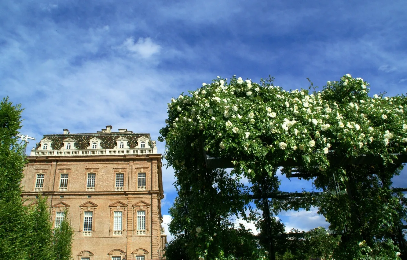 Фото обои здание, розы, Италия, Italy, Piemonte, Пьемонт, Венария-Реале, Venaria Reale
