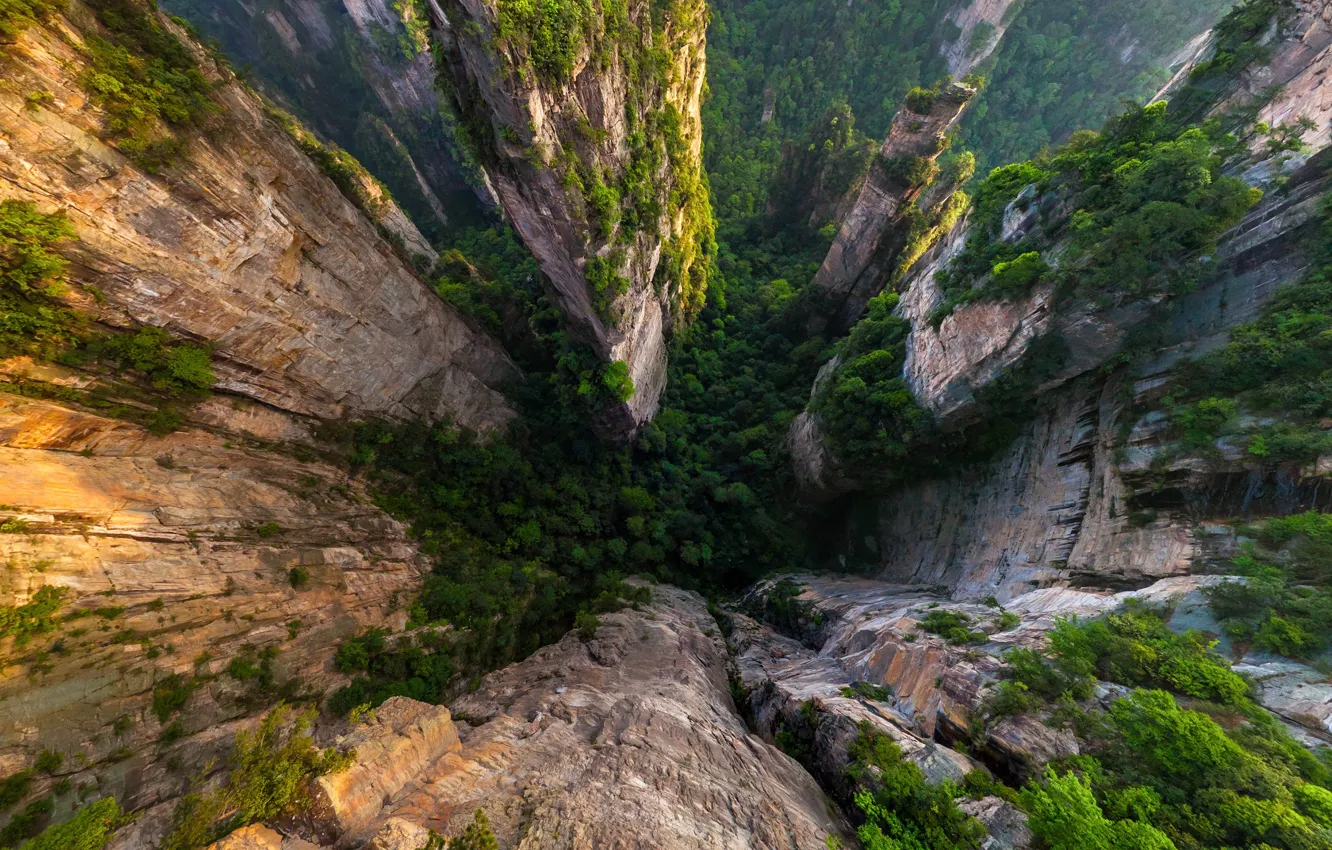 Фото обои Горы, Avatar, Аватар, Mountains, Zhangjiajie National Forest Park, Национальный лесной парк Чжанцзяцзе