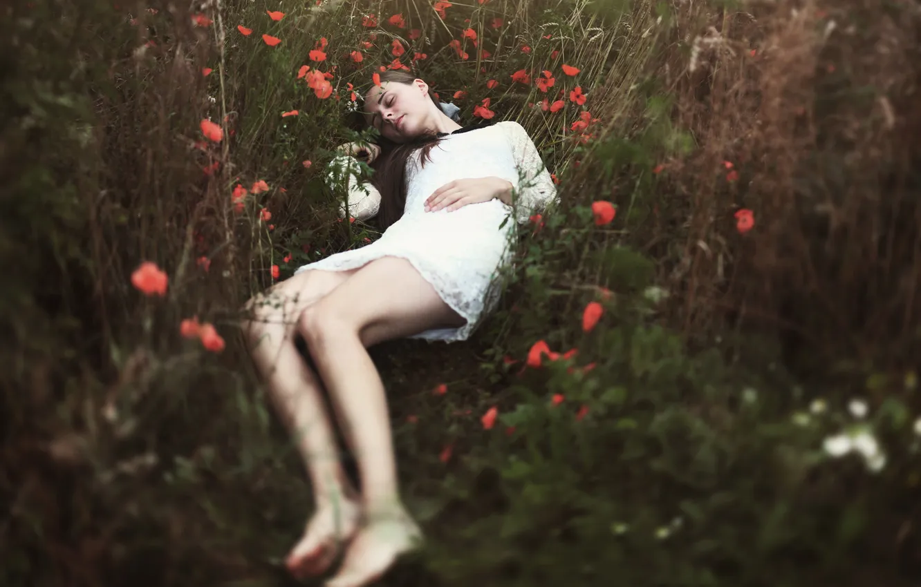 Фото обои поле, девушка, природа