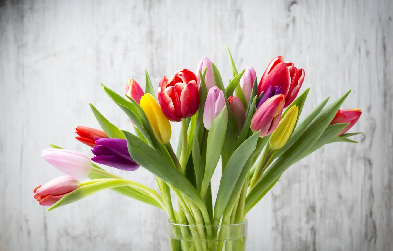 Фото обои цветы, букет, colorful, тюльпаны, fresh, wood, flowers, beautiful