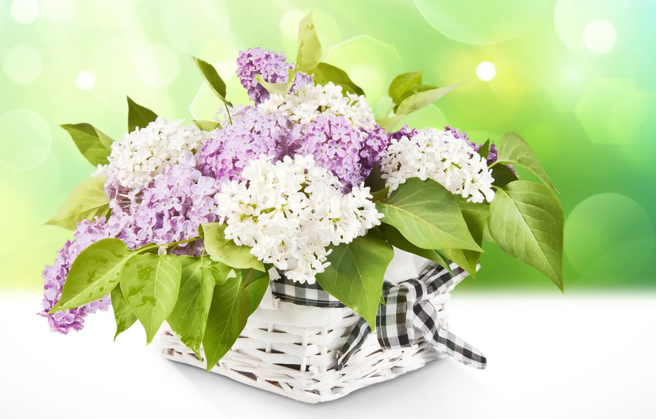 Фото обои цветы, корзина, лента, белая, фиолетовая, сирень