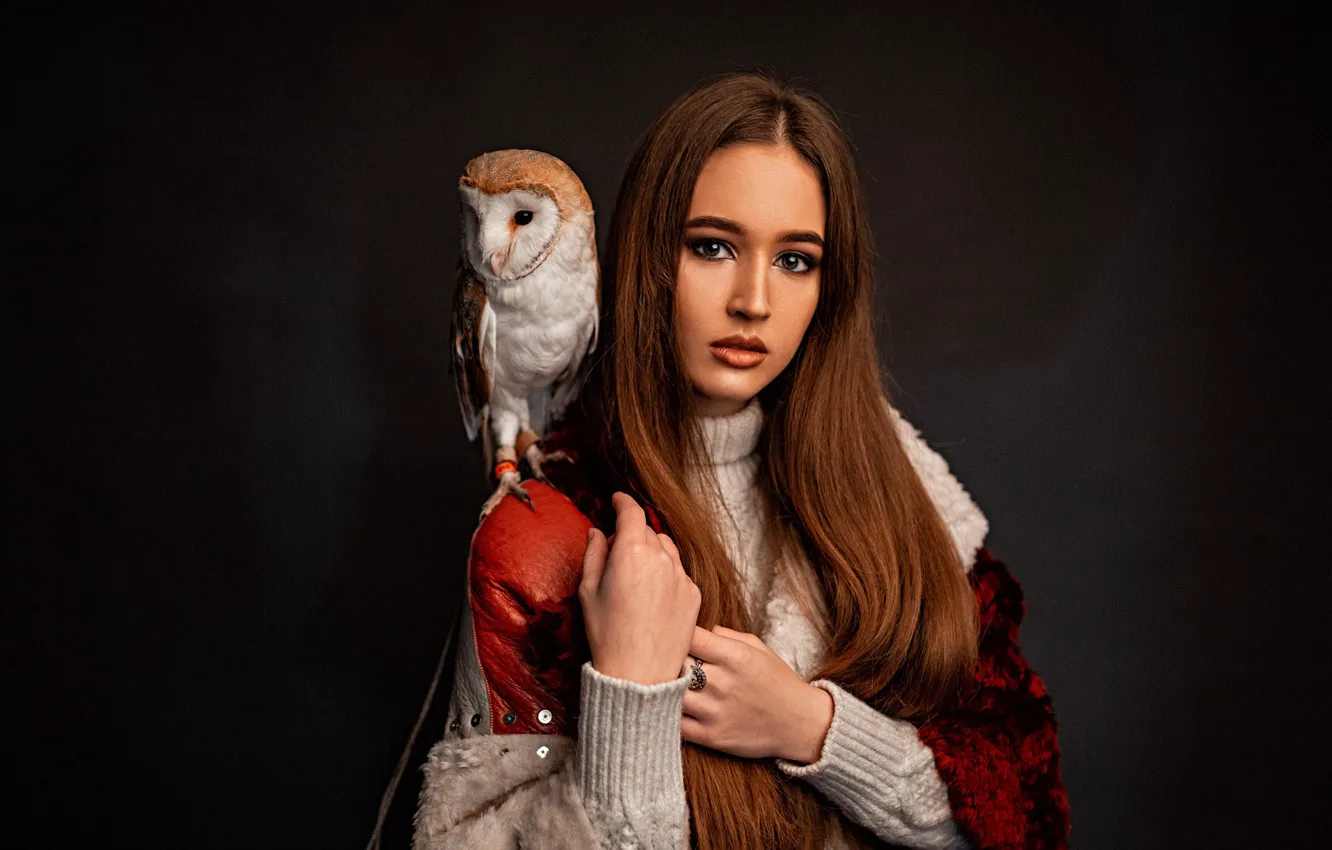 Фото обои взгляд, девушка, лицо, сова, птица, волосы, портрет, руки