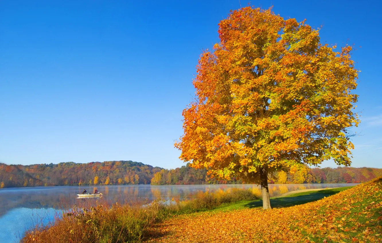 Фото обои осень, небо, река, дерево, настроение, холмы, листва, лодка
