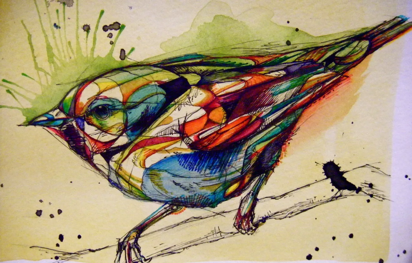 Фото обои птица, краски, рисунок, графика, воробей, тушь, раскасска