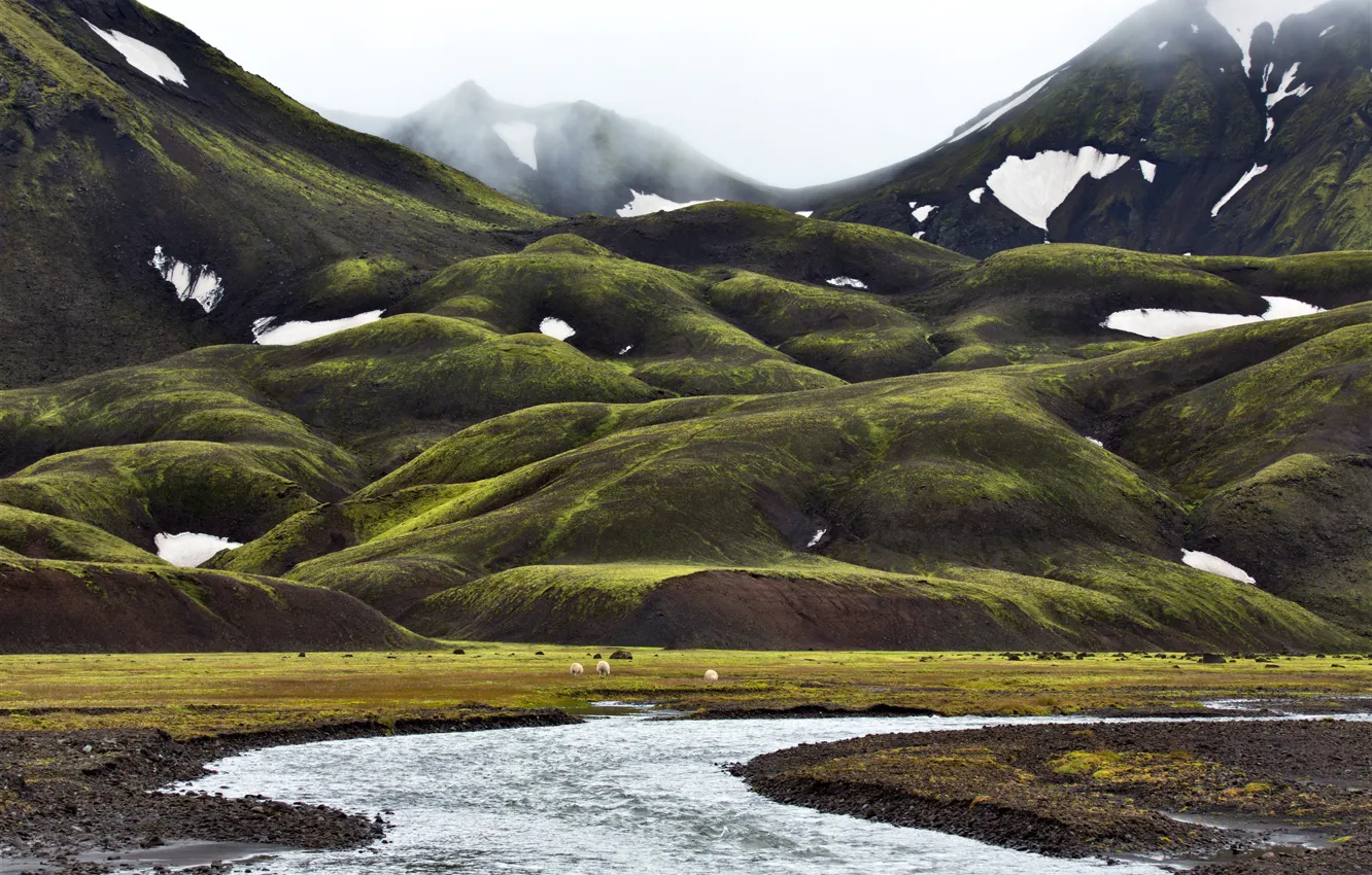 Фото обои снег, горы, туман, ручей, долина, Исландия