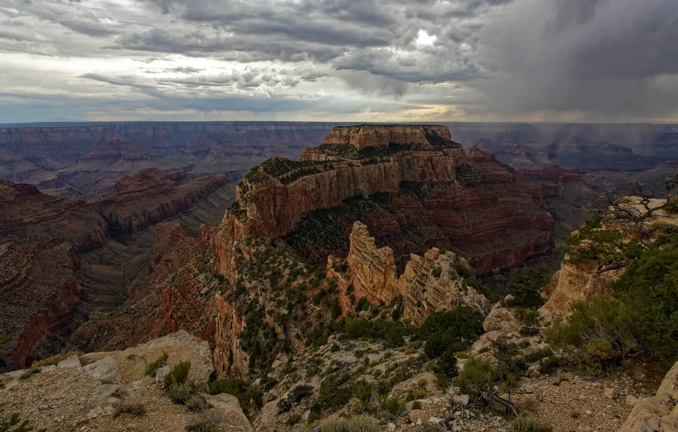 Фото обои США, Grand Canyon, North Rim