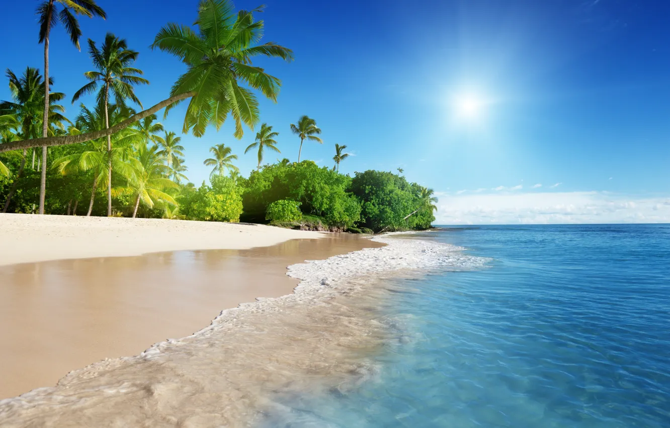 Фото обои пляж, тропики, пальмы, побережье