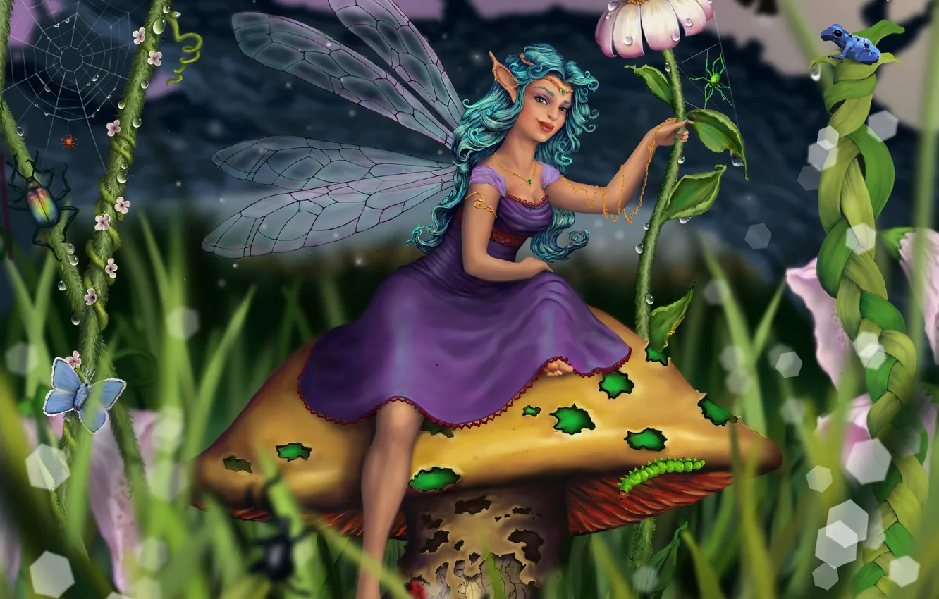 Фото обои девушка, цветы, гриб, крылья, фея