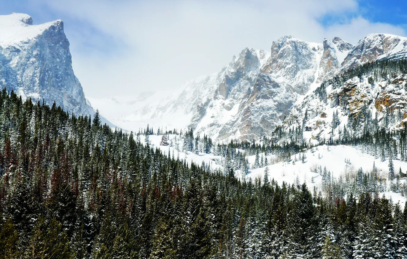 Фото обои зима, лес, горы, скалы, peaks of winter
