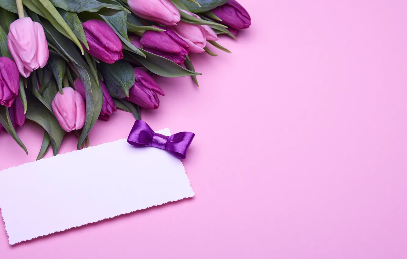 Фото обои букет, тюльпаны, love, розовые, бант, fresh, pink, flowers
