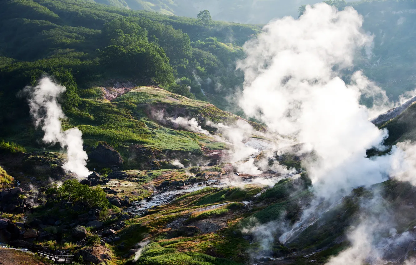 Фото обои зелень, трава, солнце, деревья, горы, ручей, камни, долина