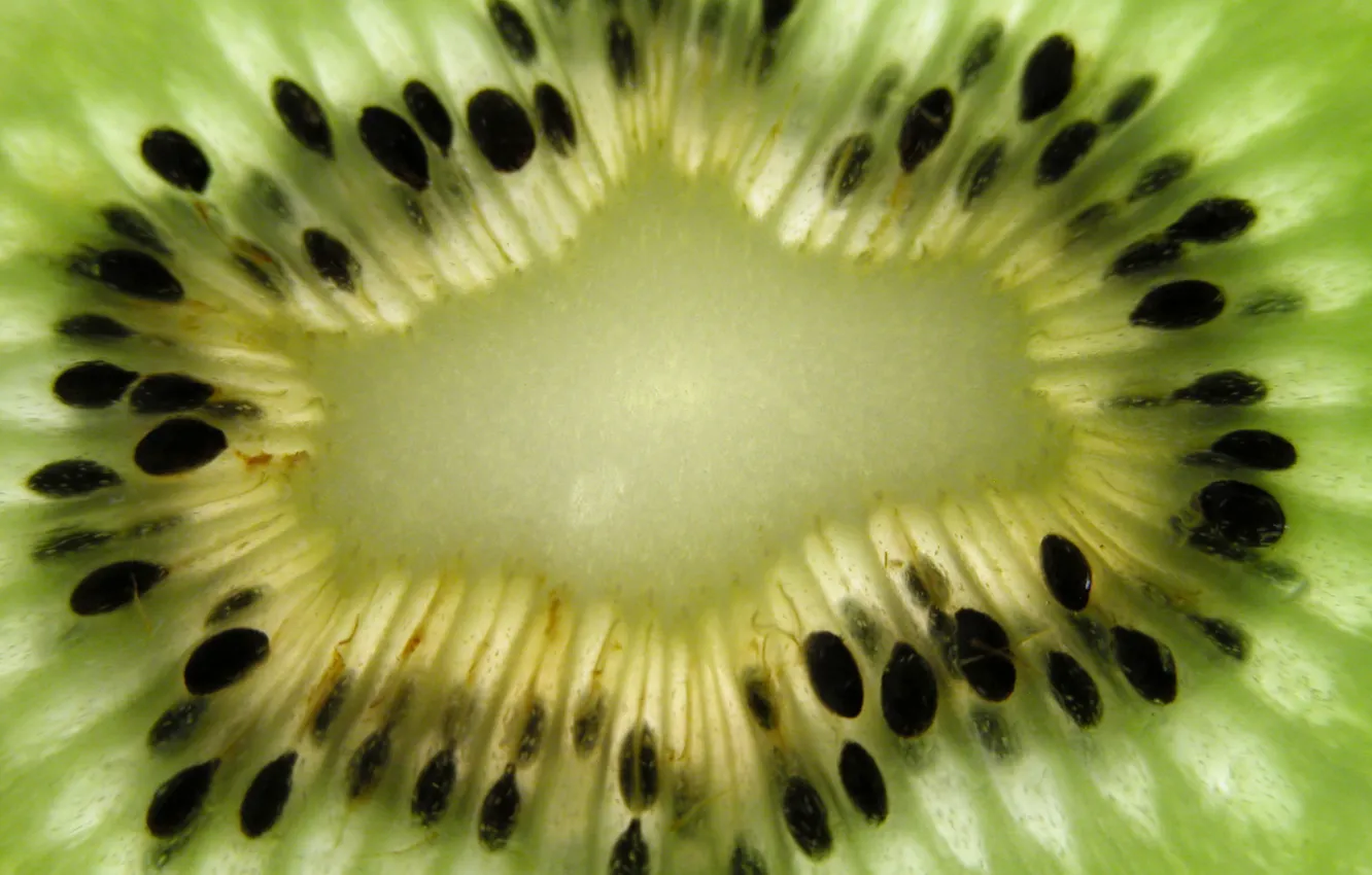 Фото обои фрукт, Kiwi, Киви