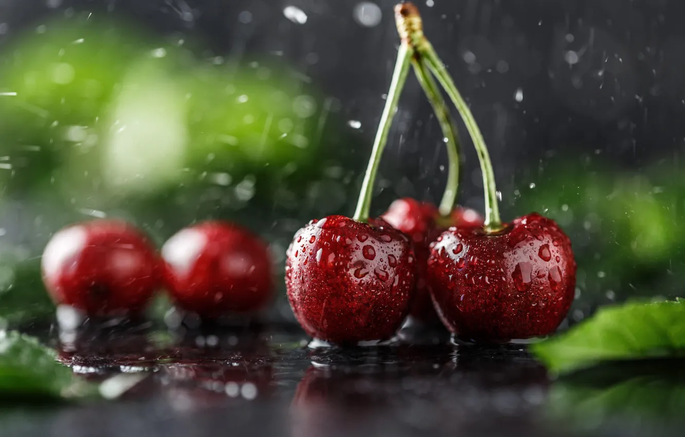 Фото обои капли, вишня, ягоды, дождь, влага, черешня
