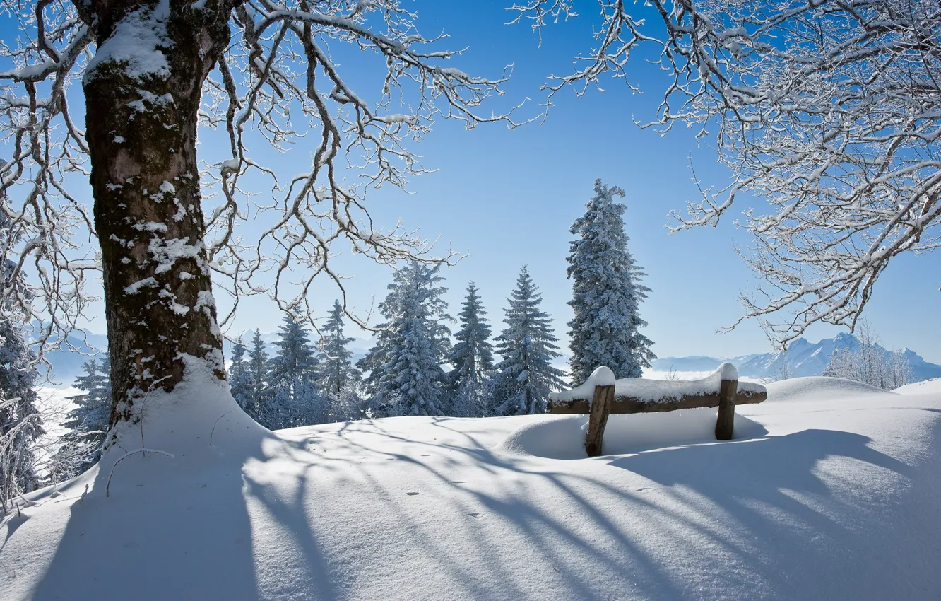 Фото обои зима, снег, пейзаж, дерево, красота, скамья