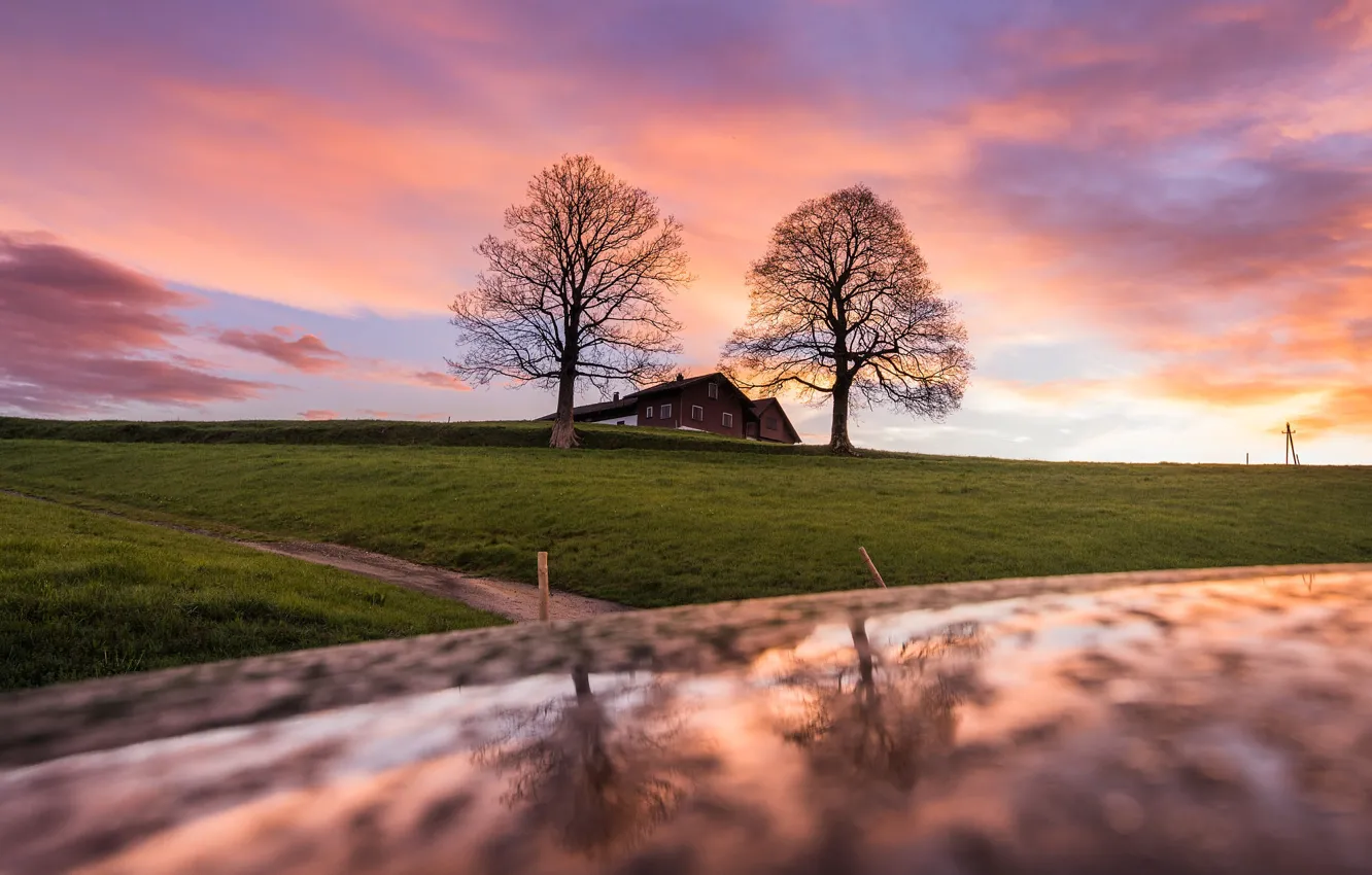 Фото обои деревья, река, берег, дома