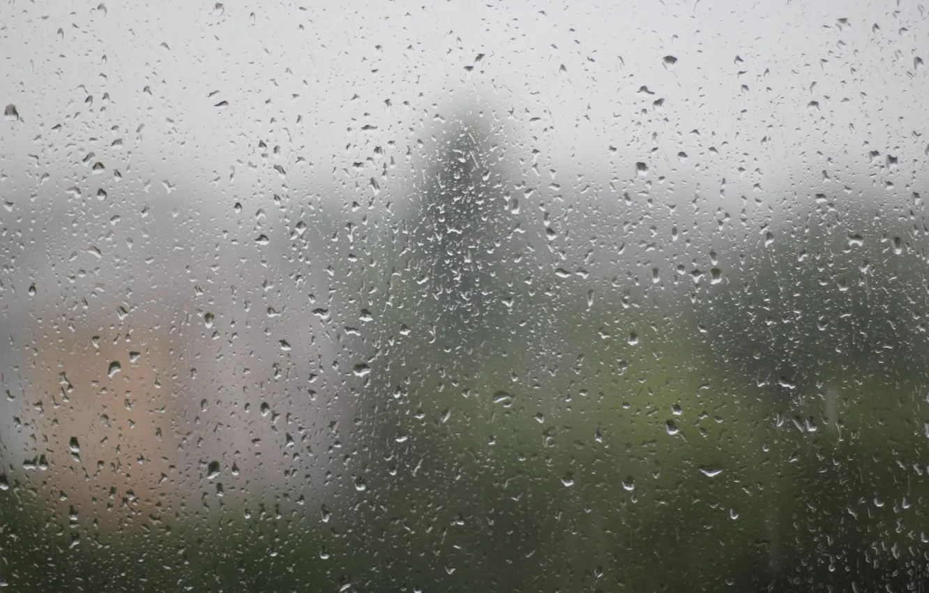 Фото обои лето, стекло, вода, капли, поверхность, отражение, дождь, после дождя
