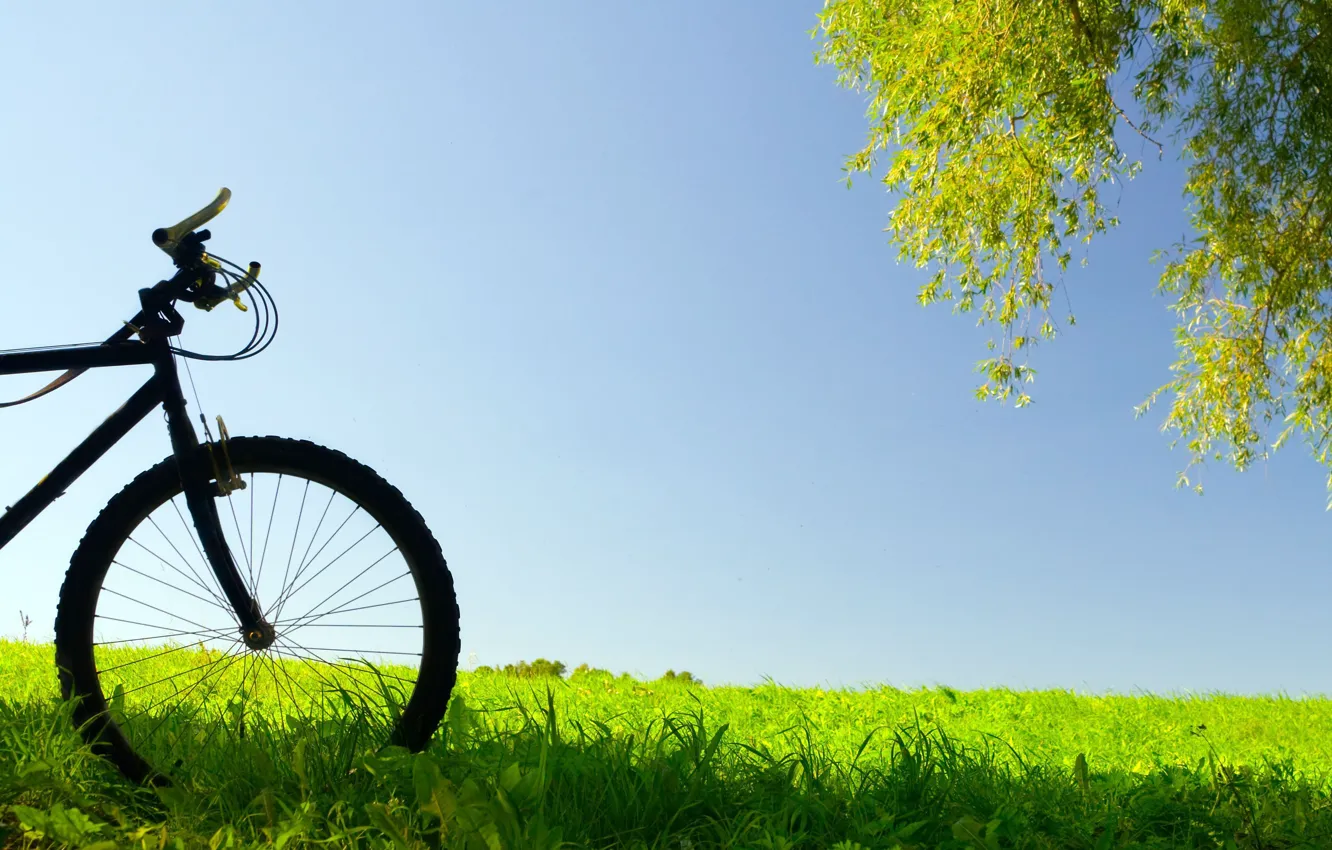 Фото обои зелень, небо, трава, листья, велосипед, фон, дерево, widescreen