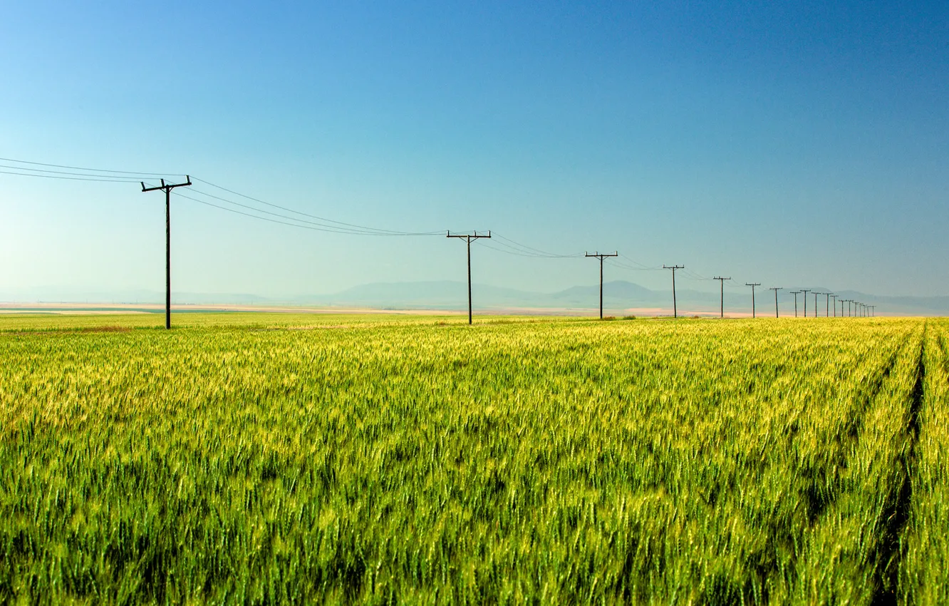 Фото обои поле, горы, field, mountains, power line, линий электропередач